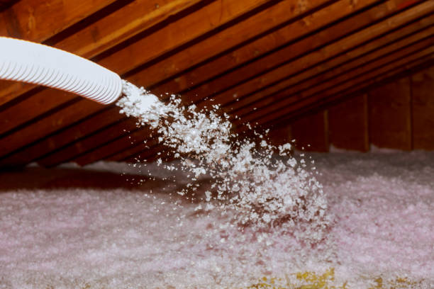 Best Insulation Air Sealing  in Breaux Bridge, LA